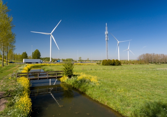 Tytuł: OBSERWATORIUM DOTACJI - Światowid Centrum Kreacji i Kompetencji Sp. z o.o. - odc. 21: ENERGIA DLA WSI